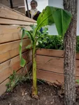 I_20220627_190558.jpg