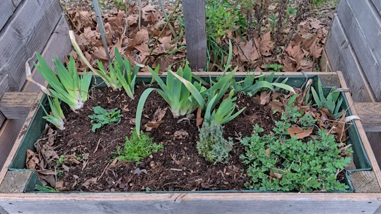 Jardinière du composteur remise en état