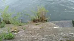 V 20220425 191708 